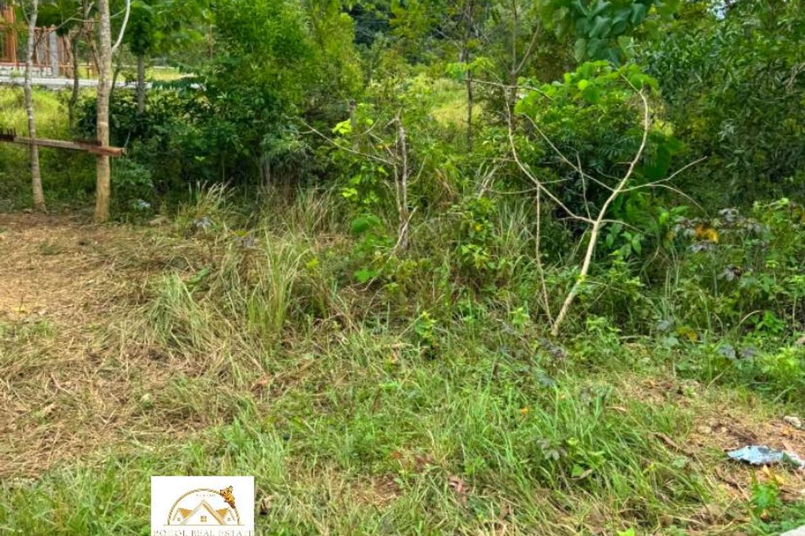 Land for Sale in Bil-Isan, Panglao, Bohol – photo 4