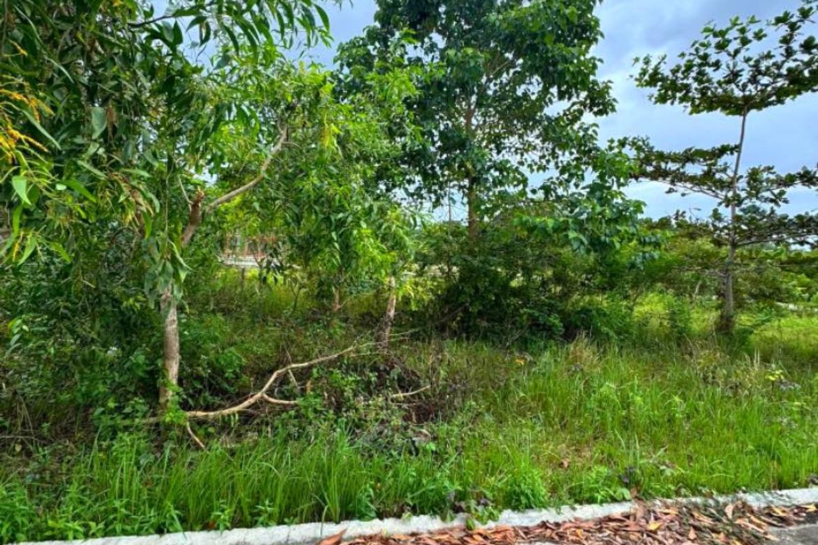 Land for Sale in Bil-Isan, Panglao, Bohol – photo 5