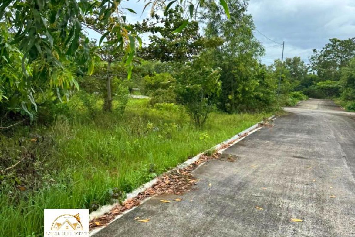 Land for Sale in Bil-Isan, Panglao, Bohol – photo 6