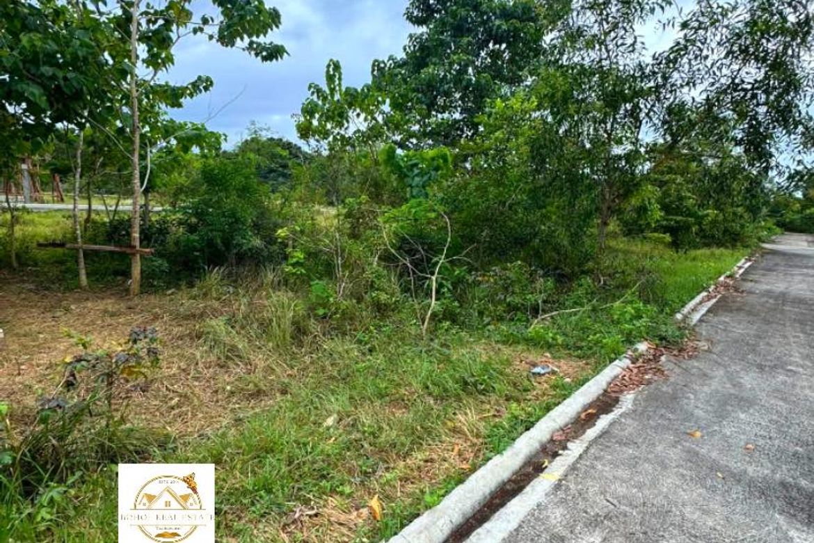 Land for Sale in Bil-Isan, Panglao, Bohol – photo 8