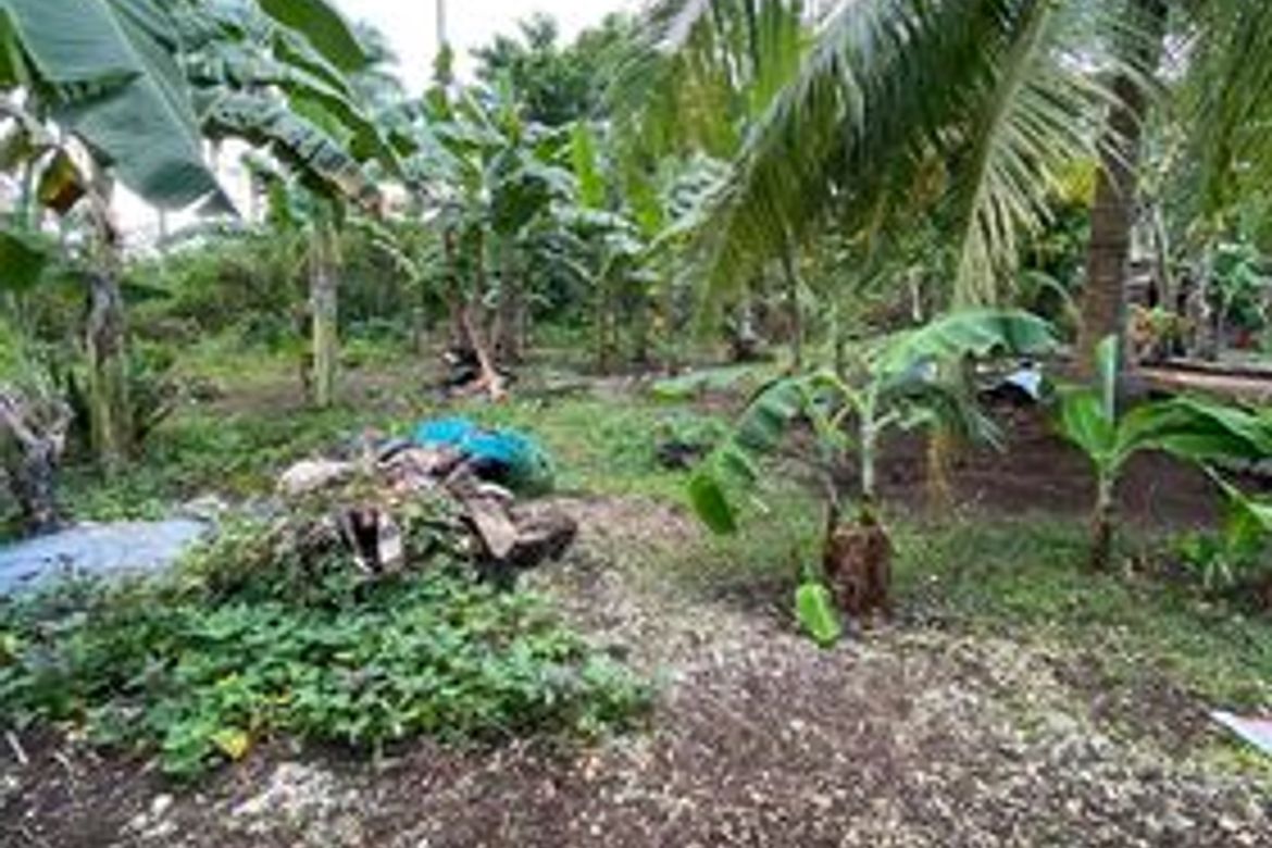Land for Sale in Bil-Isan, Panglao, Bohol – photo 5