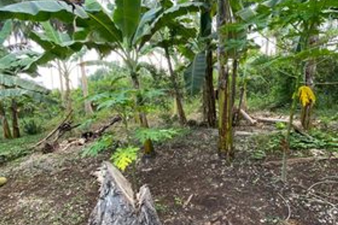Land for Sale in Bil-Isan, Panglao, Bohol – photo 8