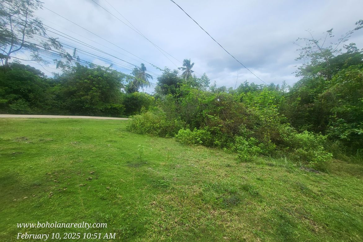 Land for Sale in Bil-Isan, Panglao, Bohol