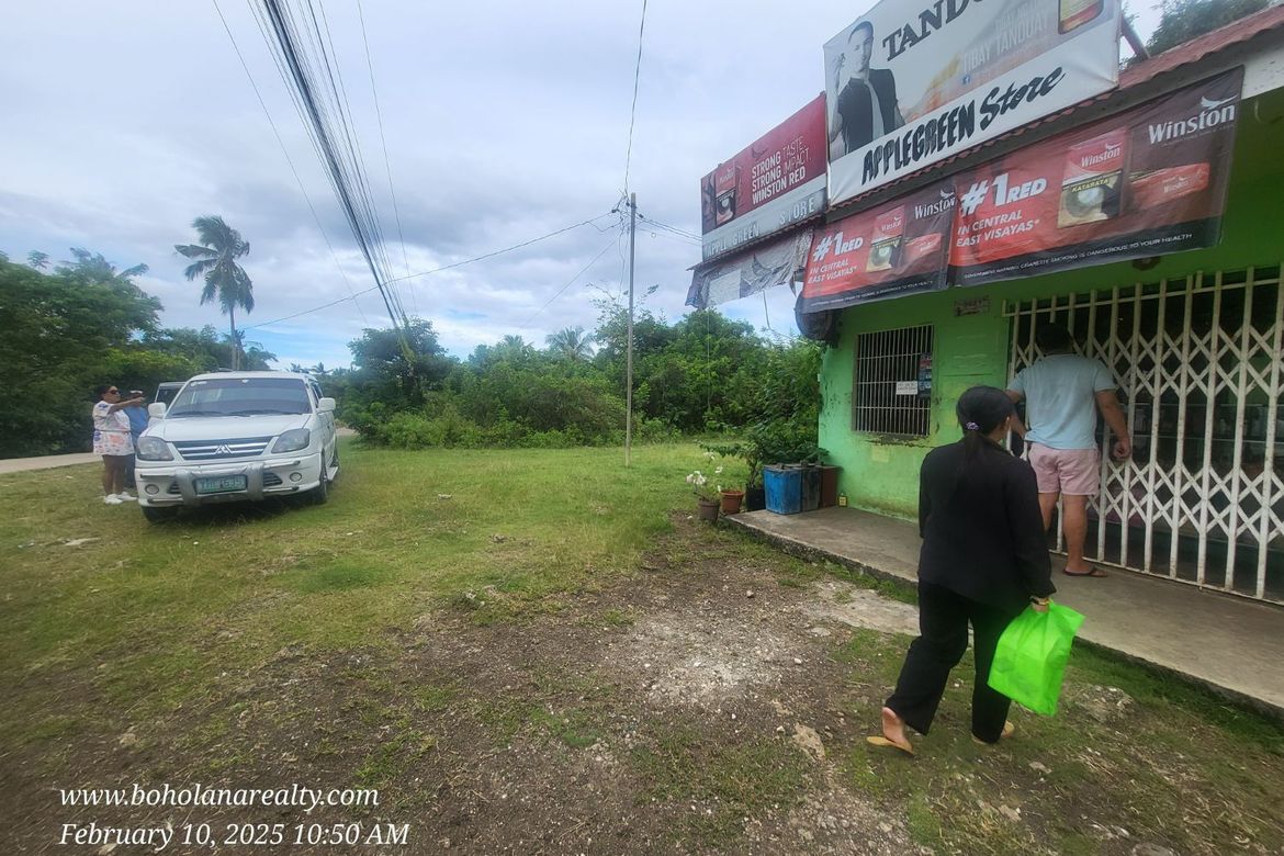 Land for Sale in Bil-Isan, Panglao, Bohol – photo 3