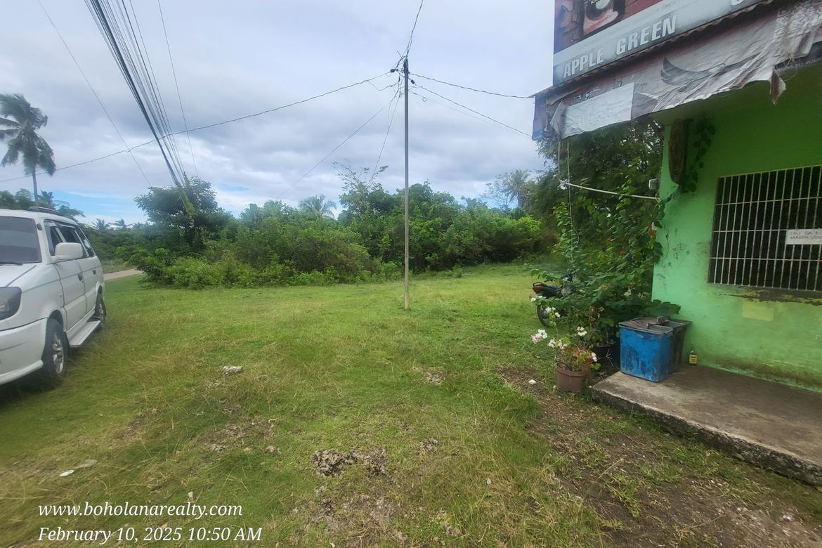 Land for Sale in Bil-Isan, Panglao, Bohol – photo 4