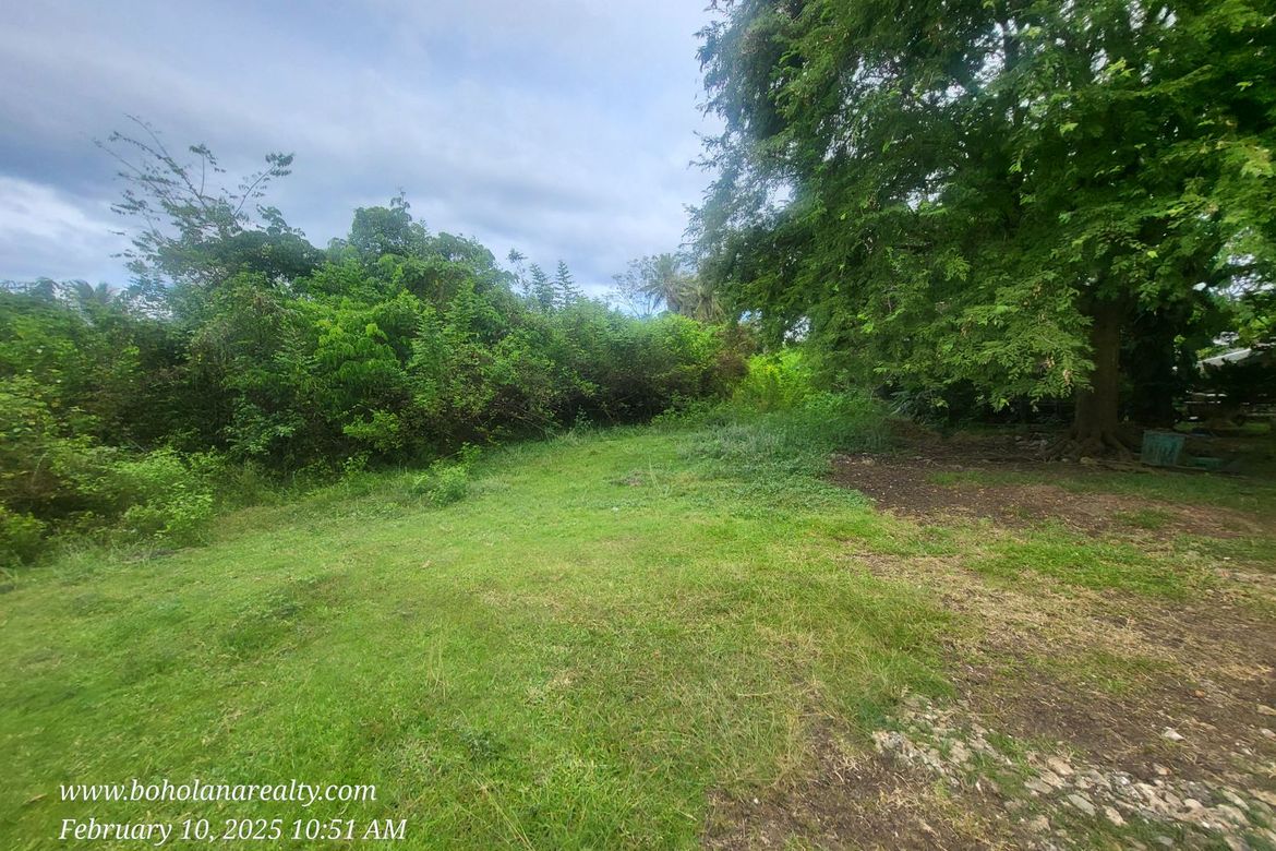 Land for Sale in Bil-Isan, Panglao, Bohol – photo 6