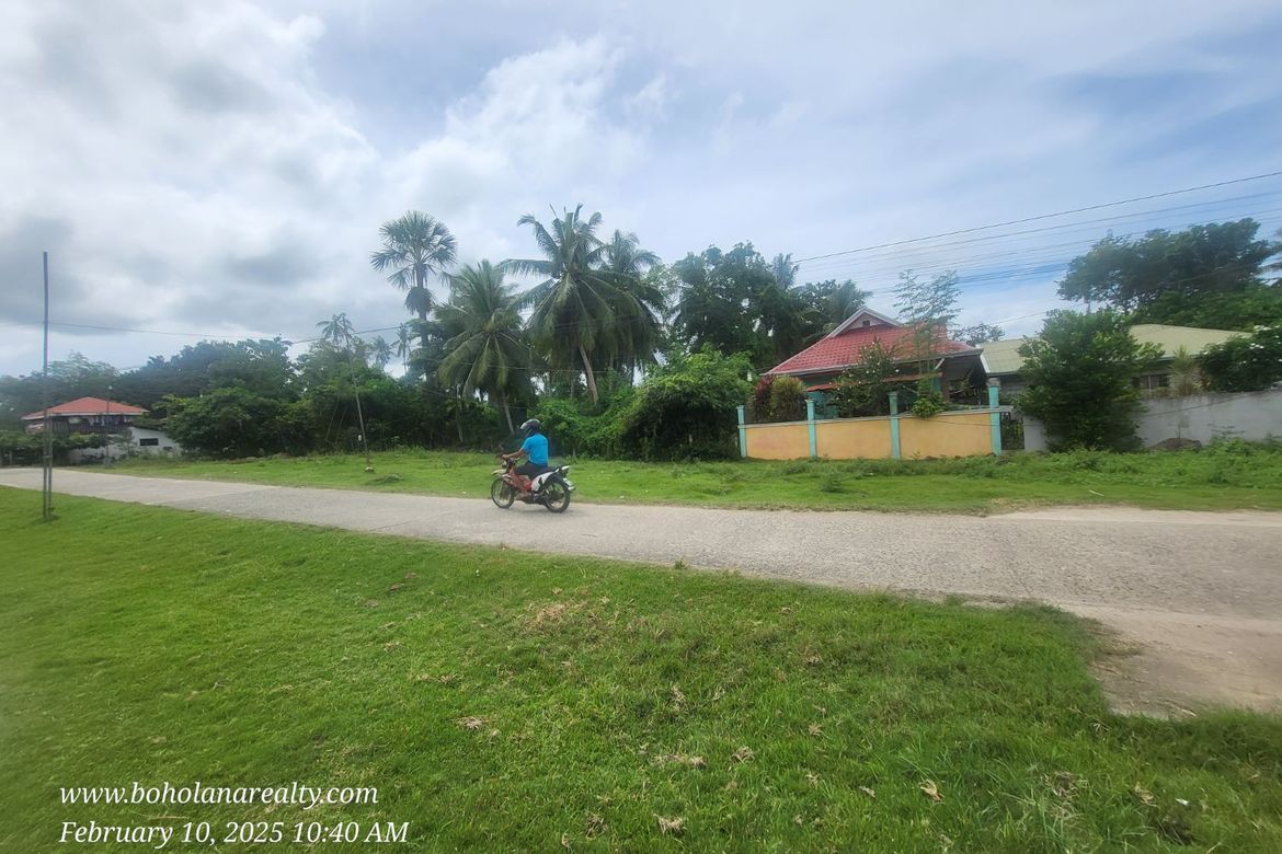 Land for Sale in Bil-Isan, Panglao, Bohol – photo 3