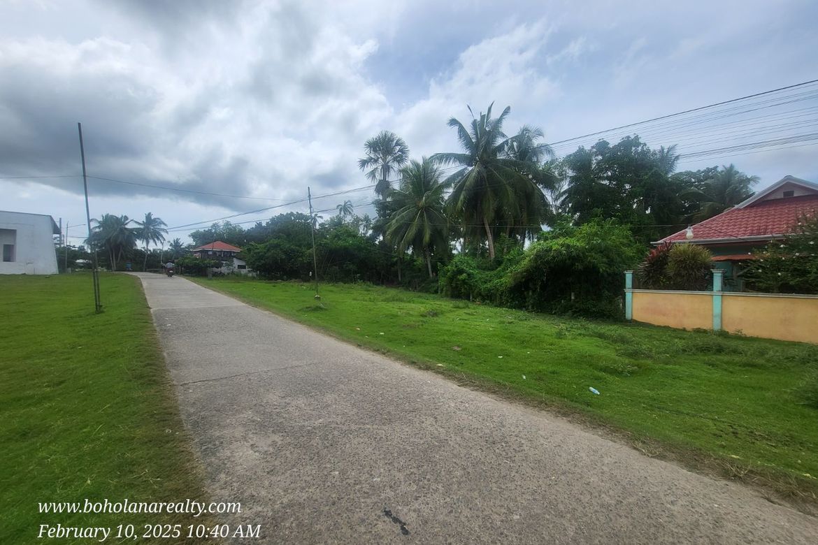 Land for Sale in Bil-Isan, Panglao, Bohol – photo 4