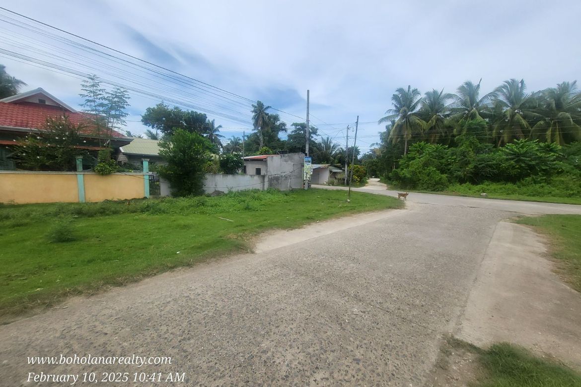Land for Sale in Bil-Isan, Panglao, Bohol – photo 5