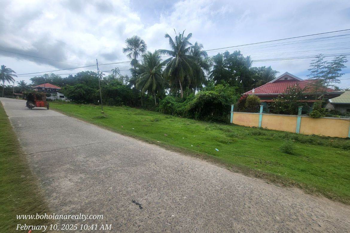 Land for Sale in Bil-Isan, Panglao, Bohol – photo 6