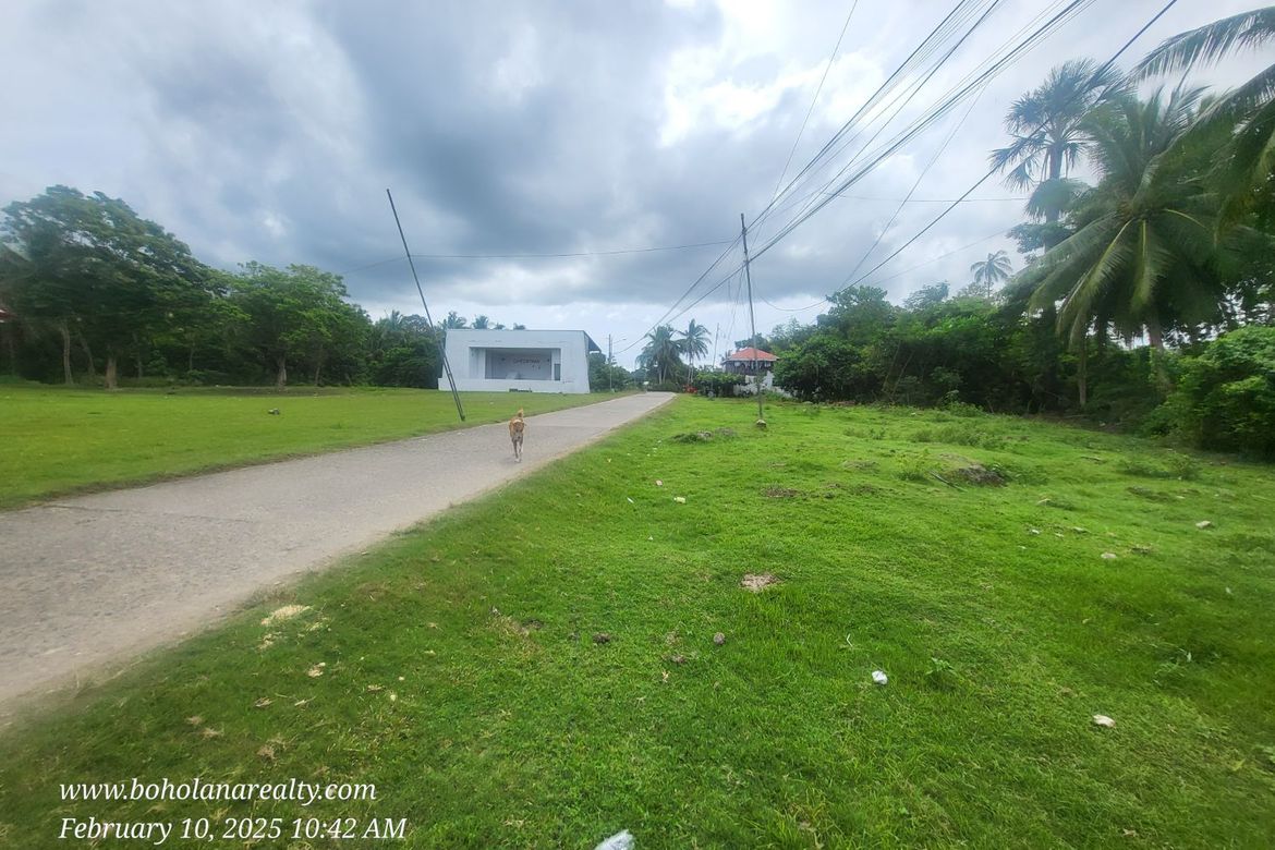 Land for Sale in Bil-Isan, Panglao, Bohol – photo 7