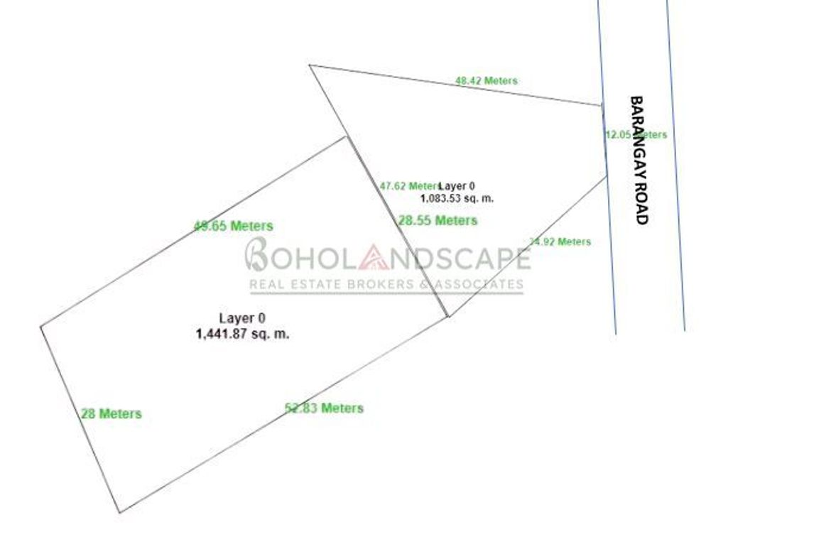 Land for Sale in Bil-Isan, Panglao, Bohol – photo 6