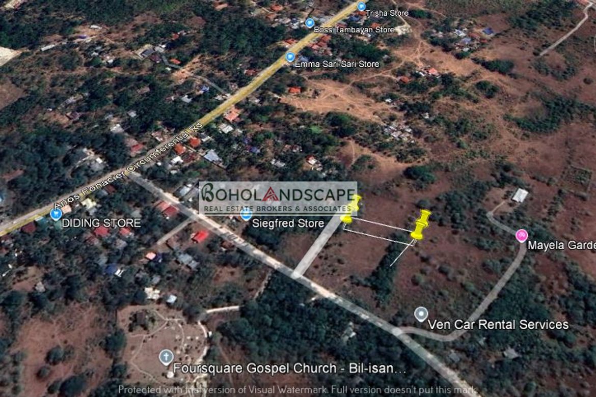 Land for Sale in Bil-Isan, Panglao, Bohol – photo 7