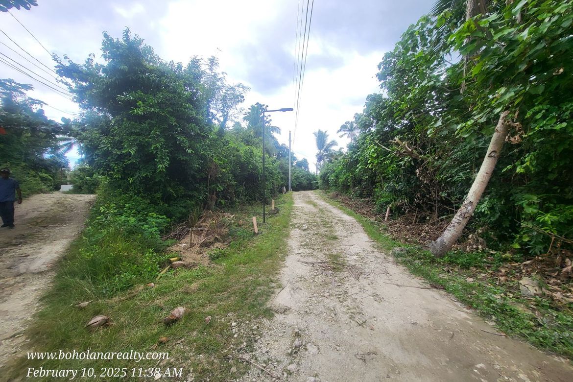 Land for Sale in Bil-Isan, Panglao, Bohol – photo 3