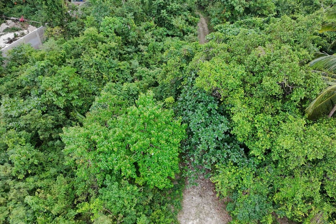 Land for Sale in Bil-Isan, Panglao, Bohol – photo 4