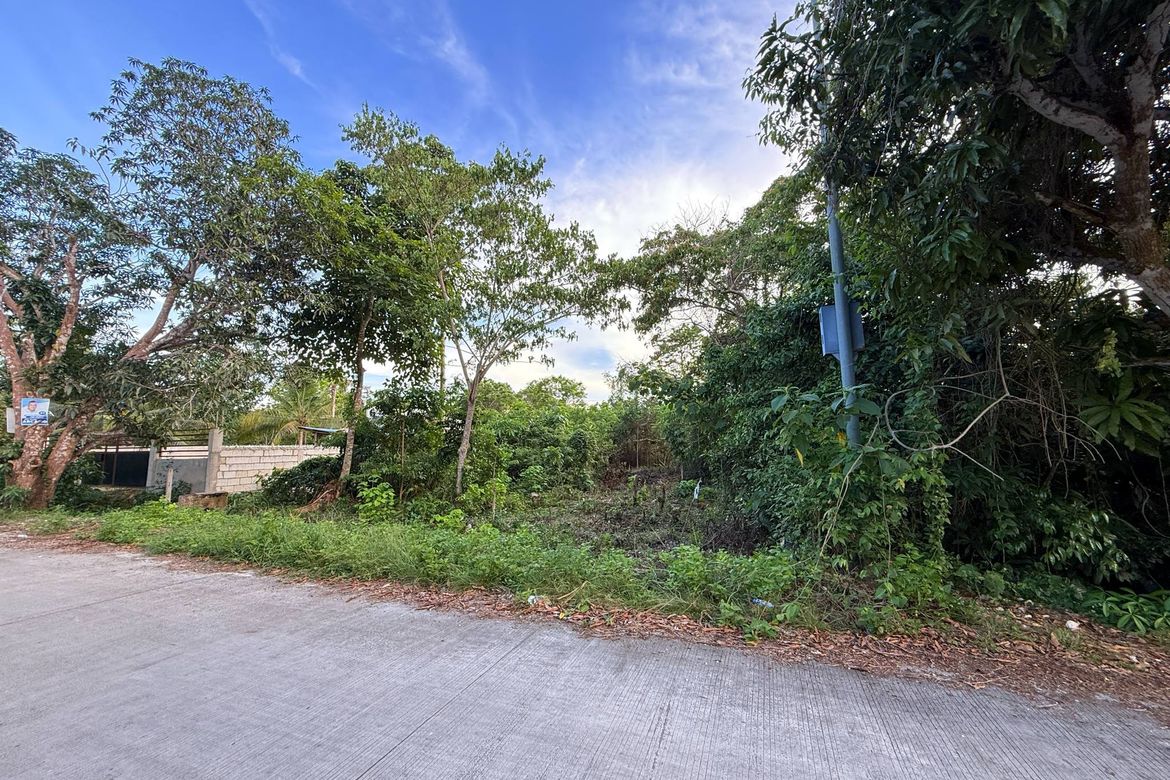 Land for Sale in Bil-Isan, Panglao, Bohol