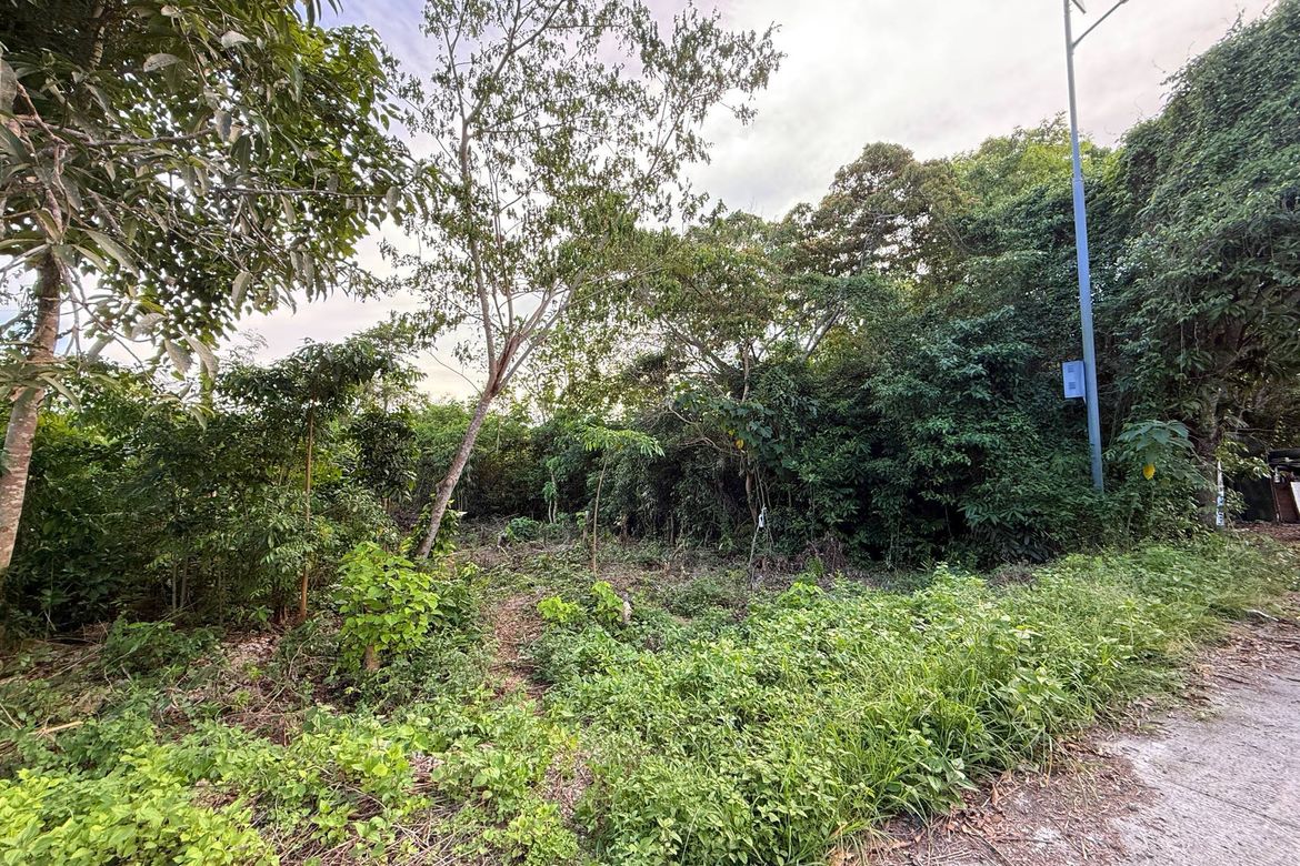 Land for Sale in Bil-Isan, Panglao, Bohol – photo 2