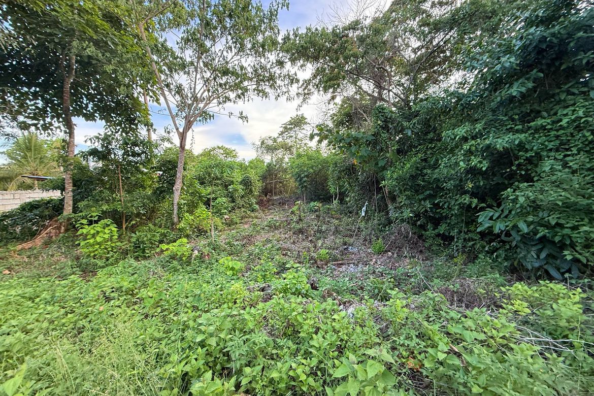 Land for Sale in Bil-Isan, Panglao, Bohol – photo 3