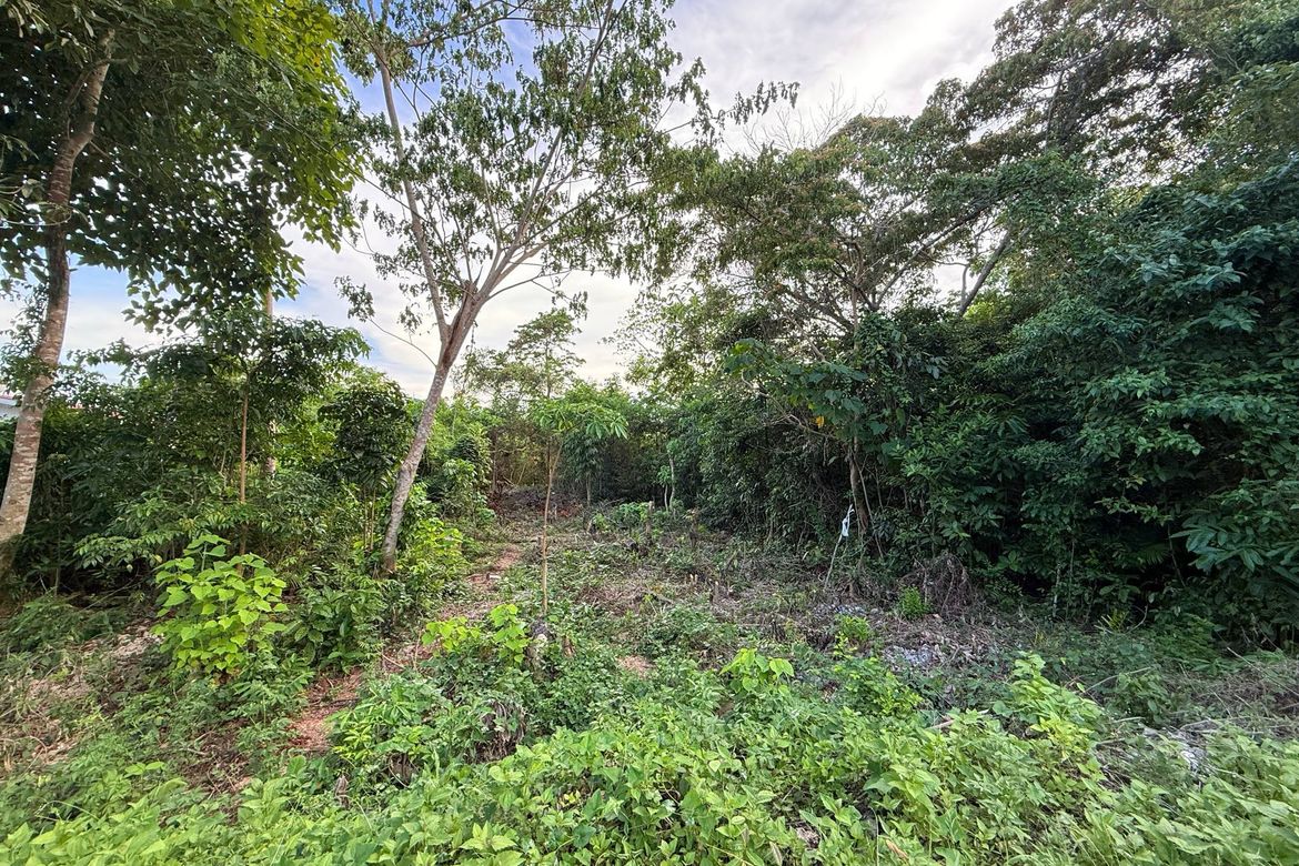 Land for Sale in Bil-Isan, Panglao, Bohol – photo 4