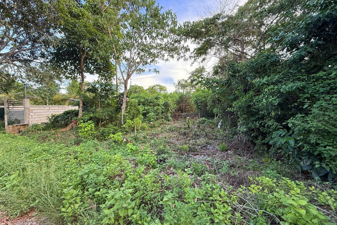Land for Sale in Bil-Isan, Panglao, Bohol – photo 6