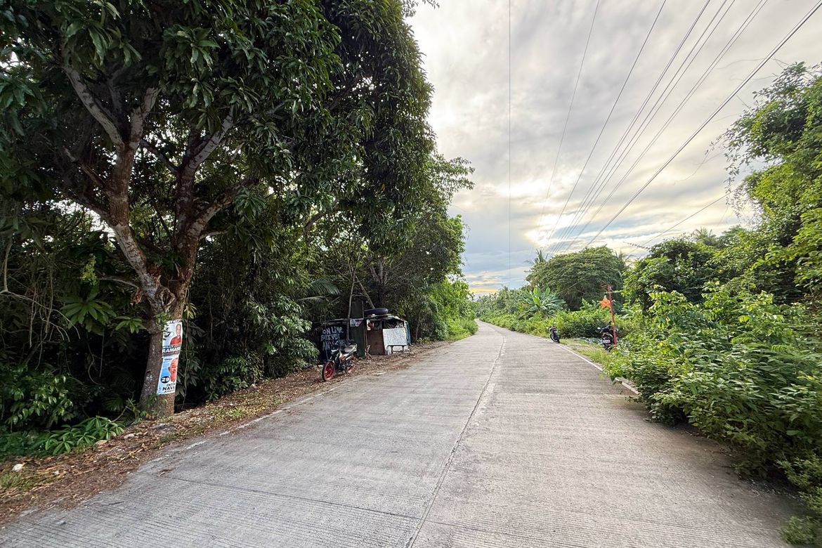Land for Sale in Bil-Isan, Panglao, Bohol – photo 7