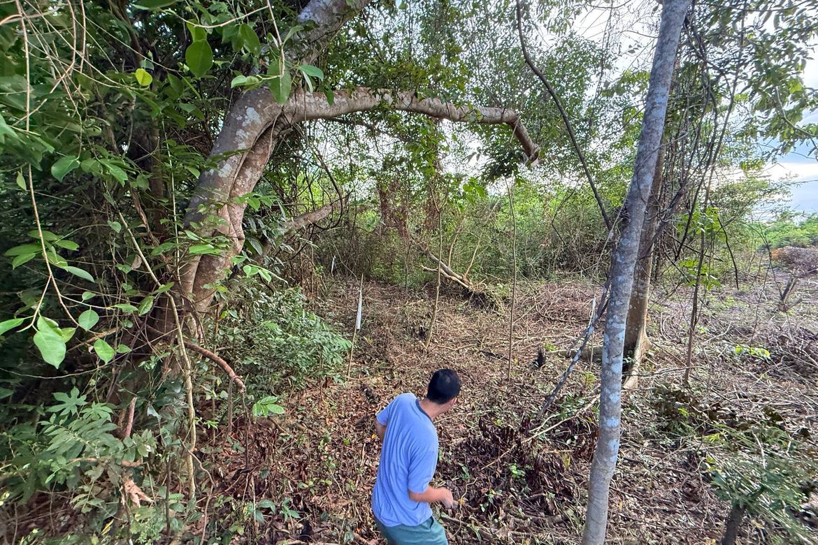 Land for Sale in Bil-Isan, Panglao, Bohol – photo 8