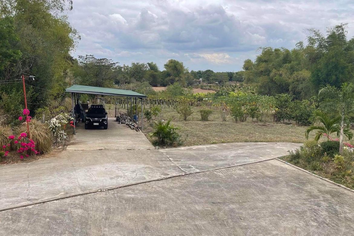 Land for Sale in Bilad, Camiling, Tarlac – photo 3