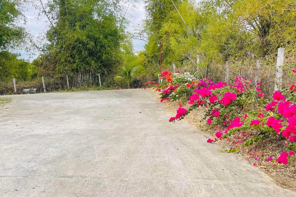 Land for Sale in Bilad, Camiling, Tarlac – photo 5