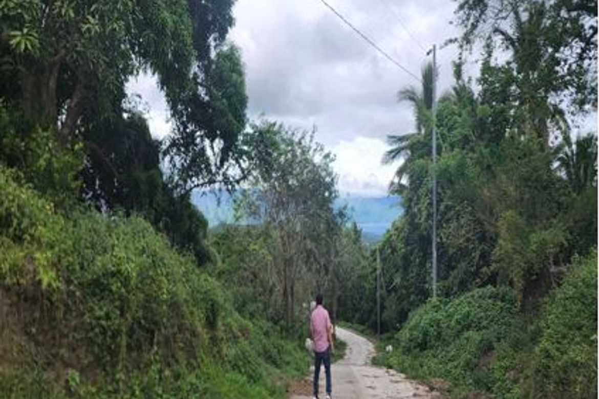 Land for Sale in Bilibinwang, Agoncillo, Batangas – photo 2