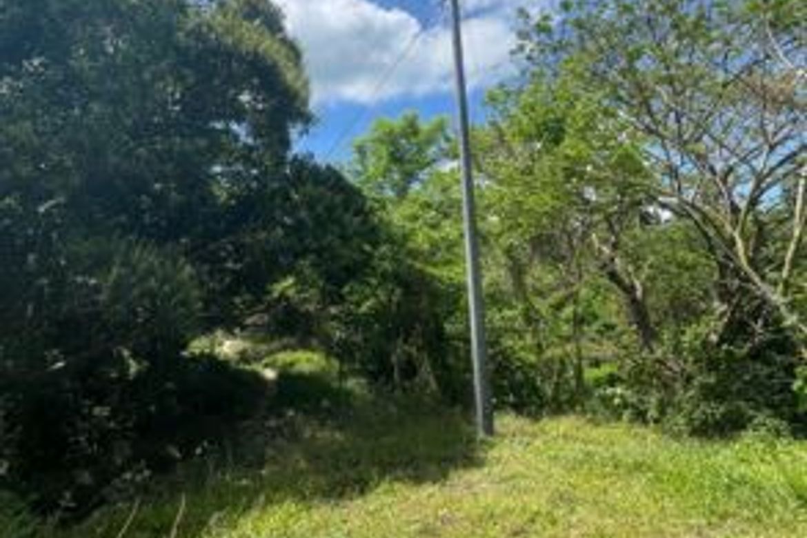 Land for Sale in Bilibinwang, Agoncillo, Batangas – photo 4
