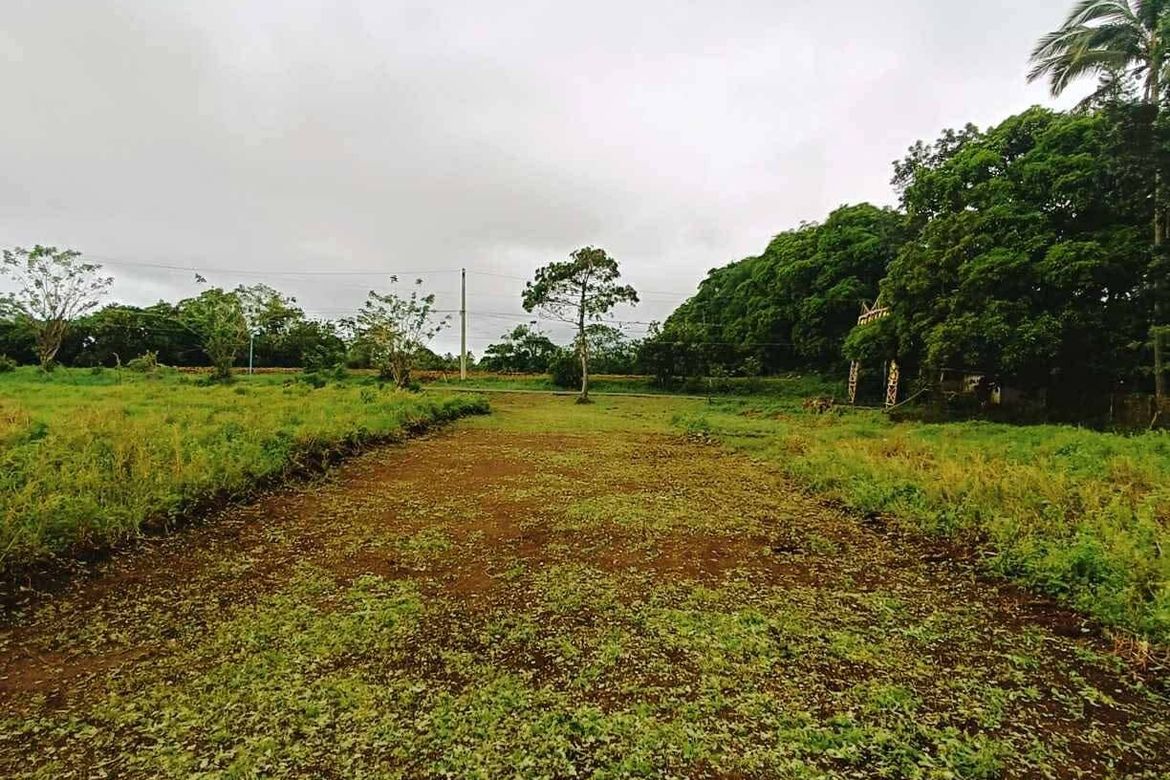 Land for Sale in Bilog, Alfonso, Cavite – photo 6