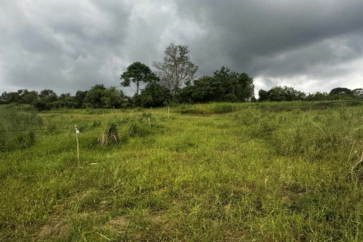 Land for Sale in Bilog, Alfonso, Cavite – photo 8