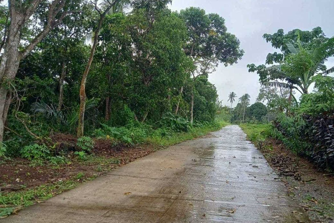 Land for Sale in Bilog, Alfonso, Cavite