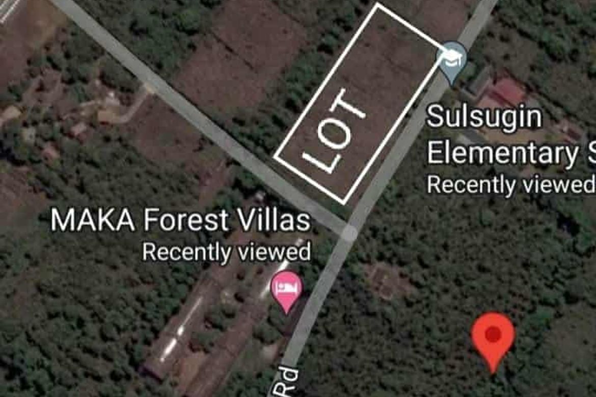 Land for Sale in Bilog, Alfonso, Cavite – photo 3