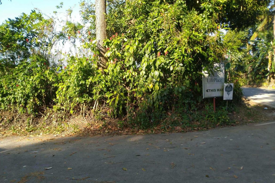 Land for Sale in Bilog, Alfonso, Cavite – photo 8