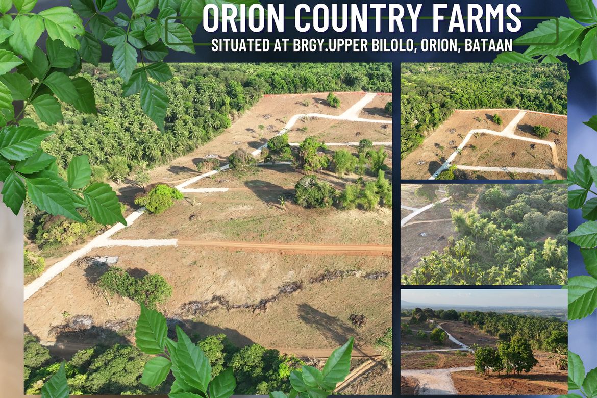 Land for Sale in Bilolo, Orion, Bataan – photo 2