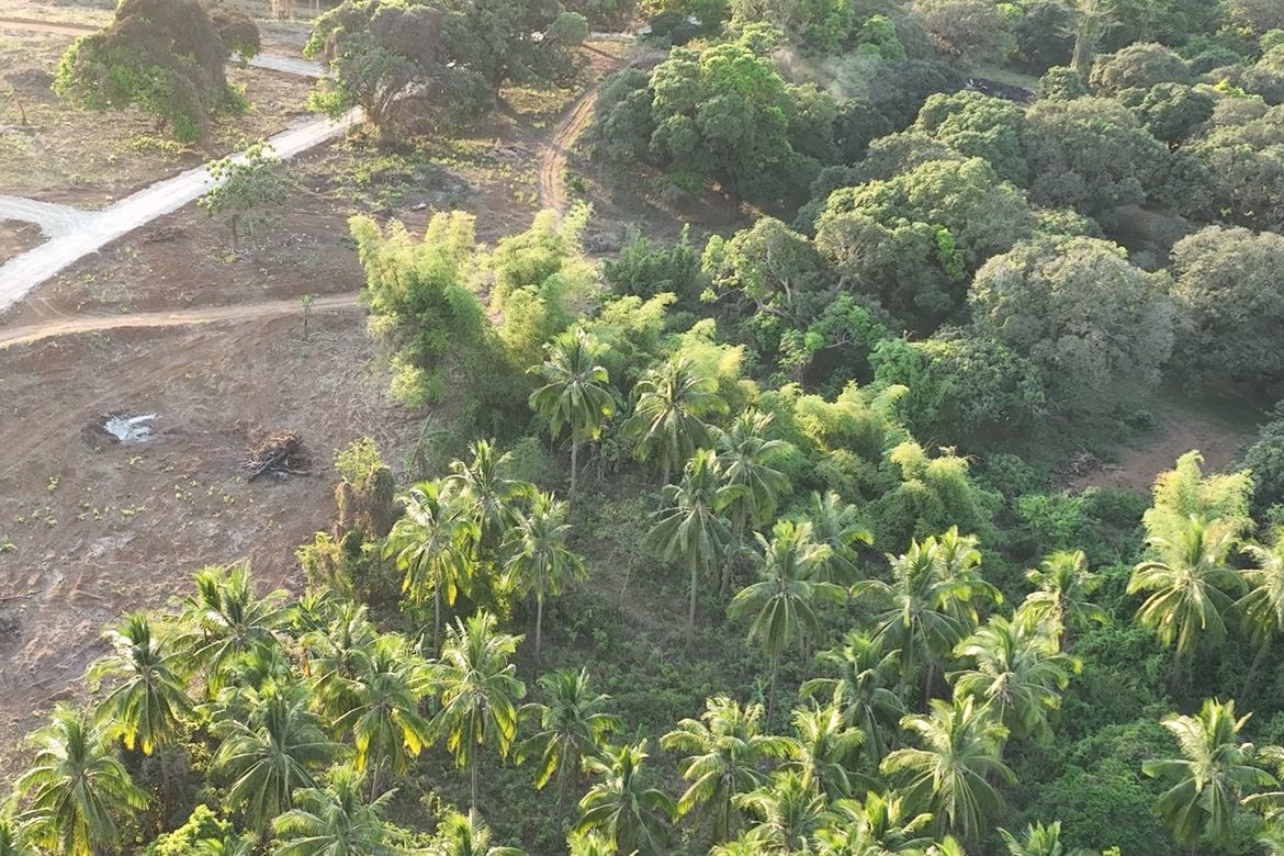 Land for Sale in Bilolo, Orion, Bataan – photo 4