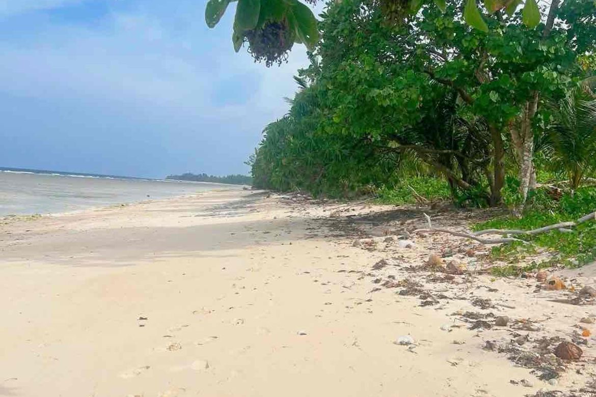 Land for Sale in Bilucao, Pitogo, Quezon