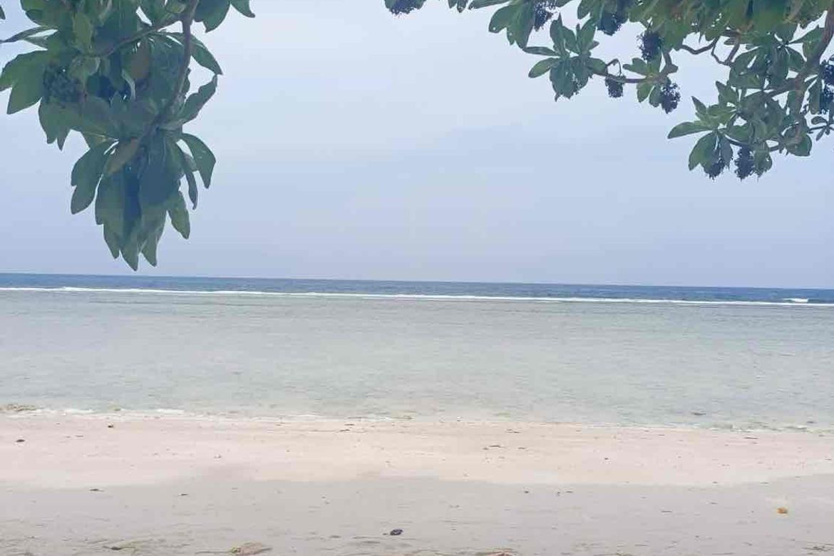 Land for Sale in Bilucao, Pitogo, Quezon – photo 4