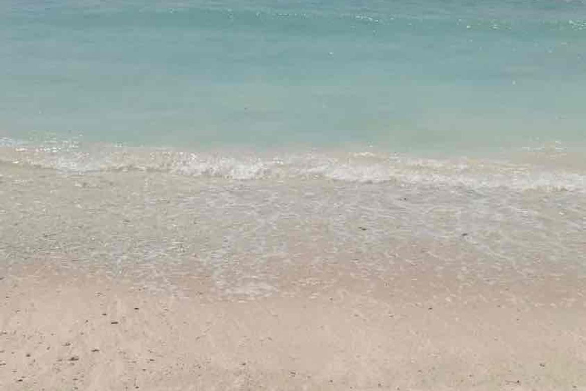 Land for Sale in Bilucao, Pitogo, Quezon – photo 8