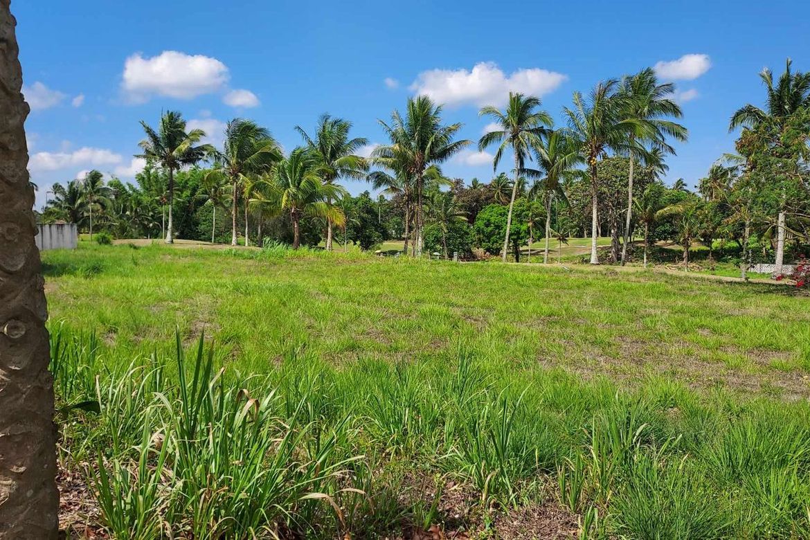 Land for Sale in Biluso, Silang, Cavite – photo 6