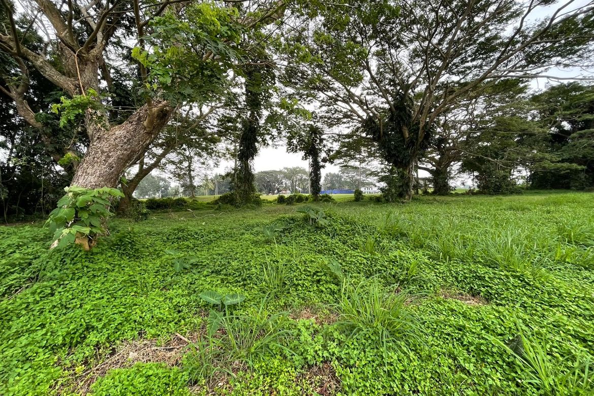 Land for Sale in Biluso, Silang, Cavite – photo 3