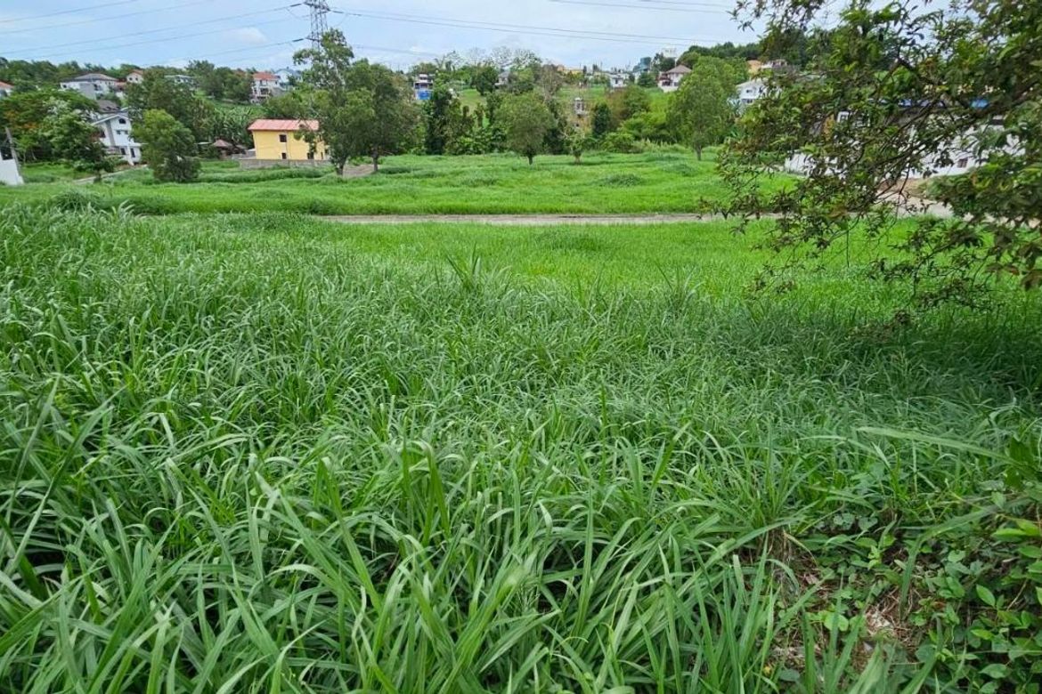 Land for Sale in Biluso, Silang, Cavite – photo 4