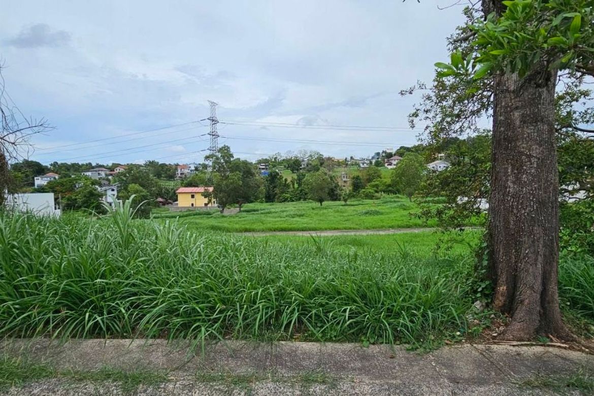 Land for Sale in Biluso, Silang, Cavite – photo 5