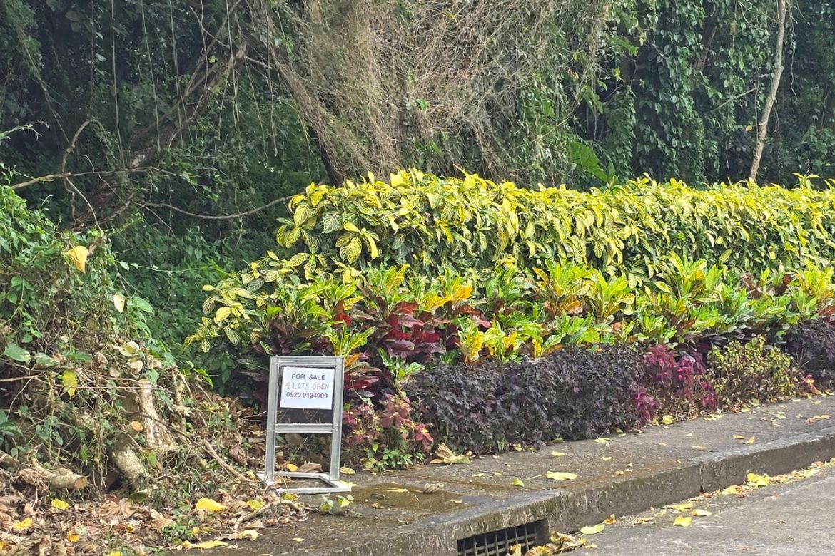Land for Sale in Biluso, Silang, Cavite – photo 4