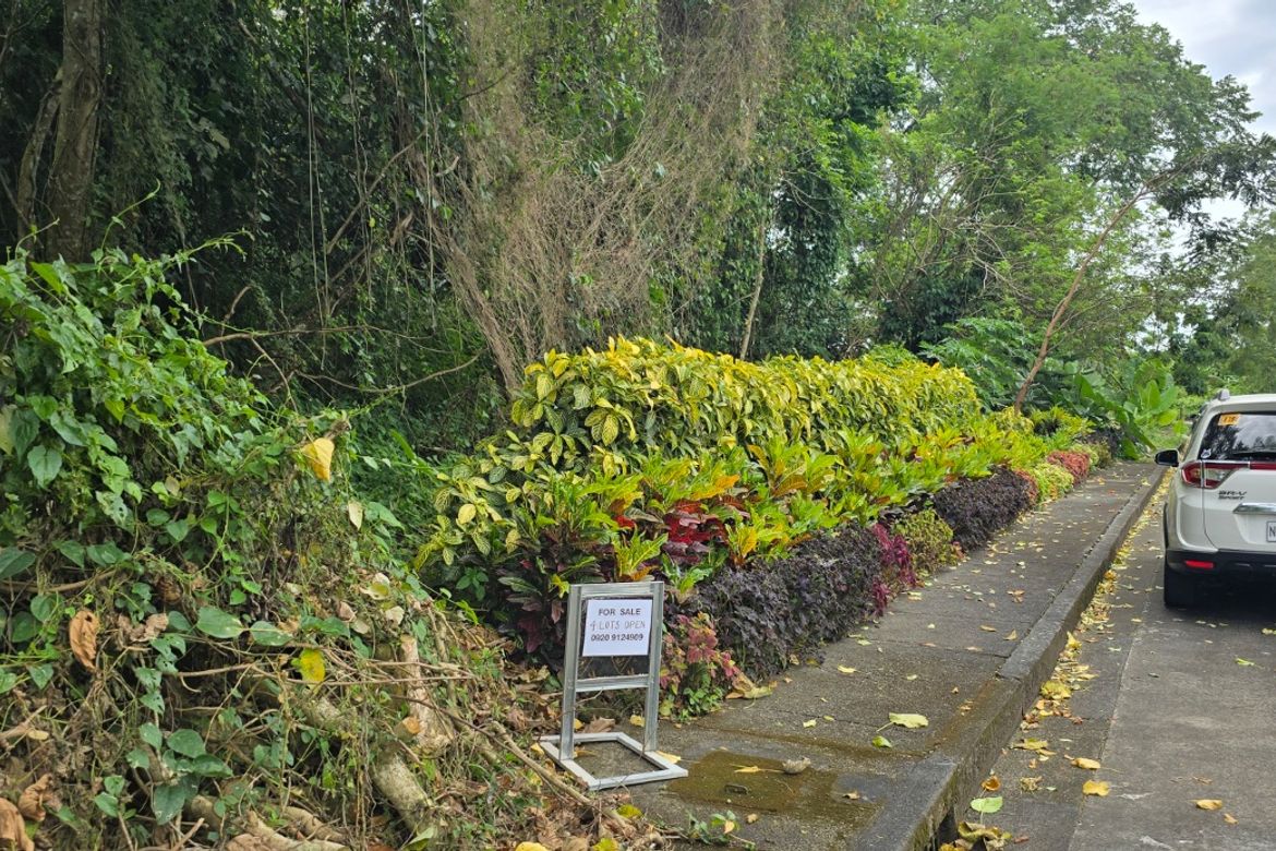 Land for Sale in Biluso, Silang, Cavite – photo 5