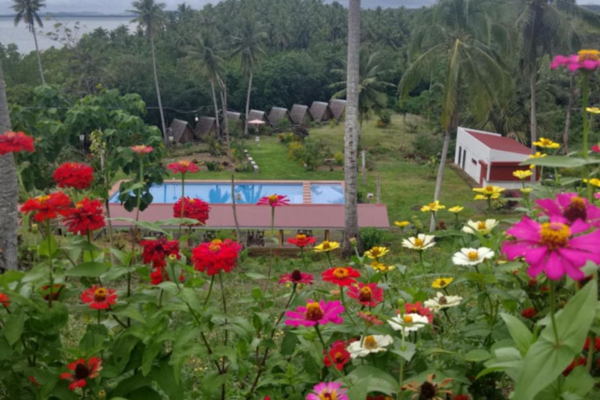 Land for Sale in Binahan Proper, Ragay, Camarines Sur – photo 6