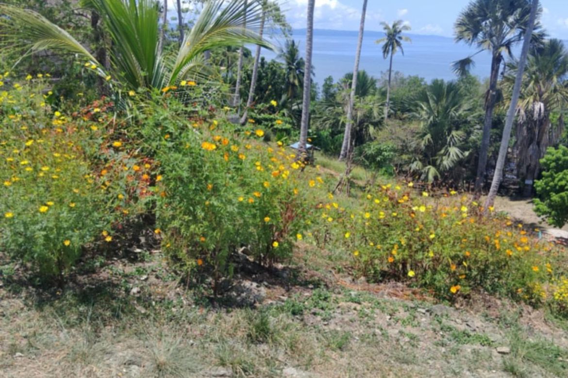 Land for Sale in Binahan Proper, Ragay, Camarines Sur – photo 7