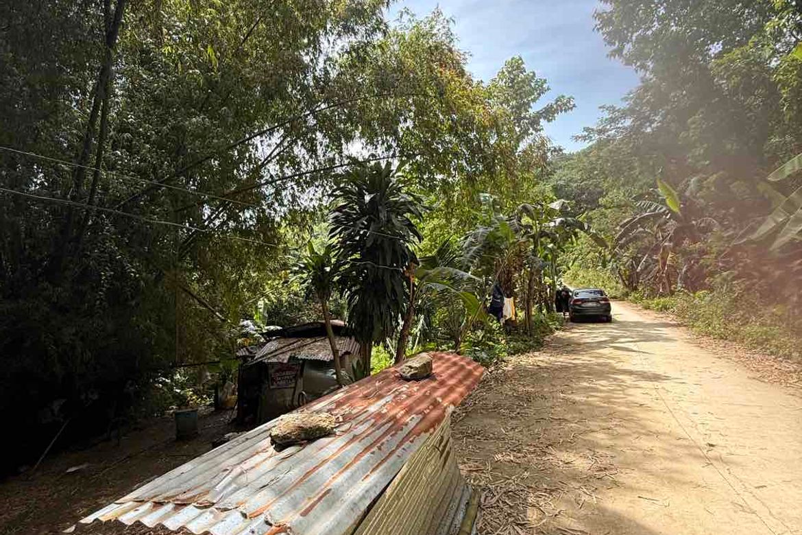 Land for Sale in Binaliw, Cebu City, Cebu – photo 4
