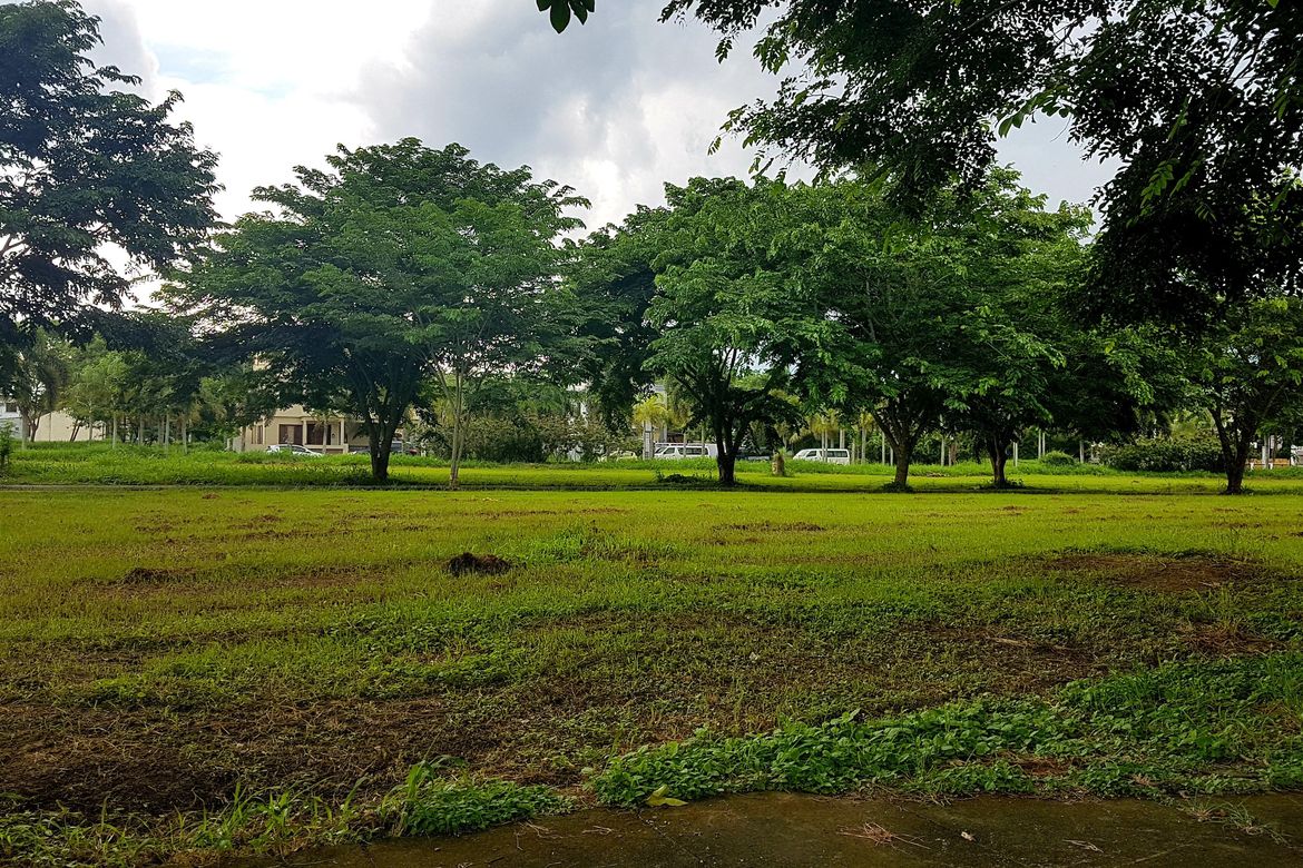 Land for Sale in Biñan, Laguna – photo 8